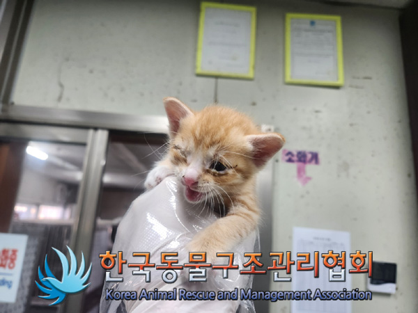 한국동물구조관리협회_411306202400858
