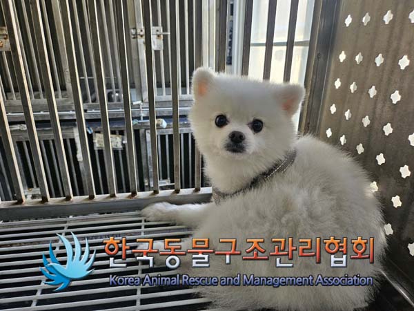 한국동물구조관리협회_411310202400668
