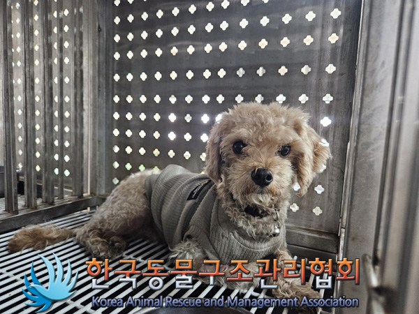 한국동물구조관리협회_411305202400766