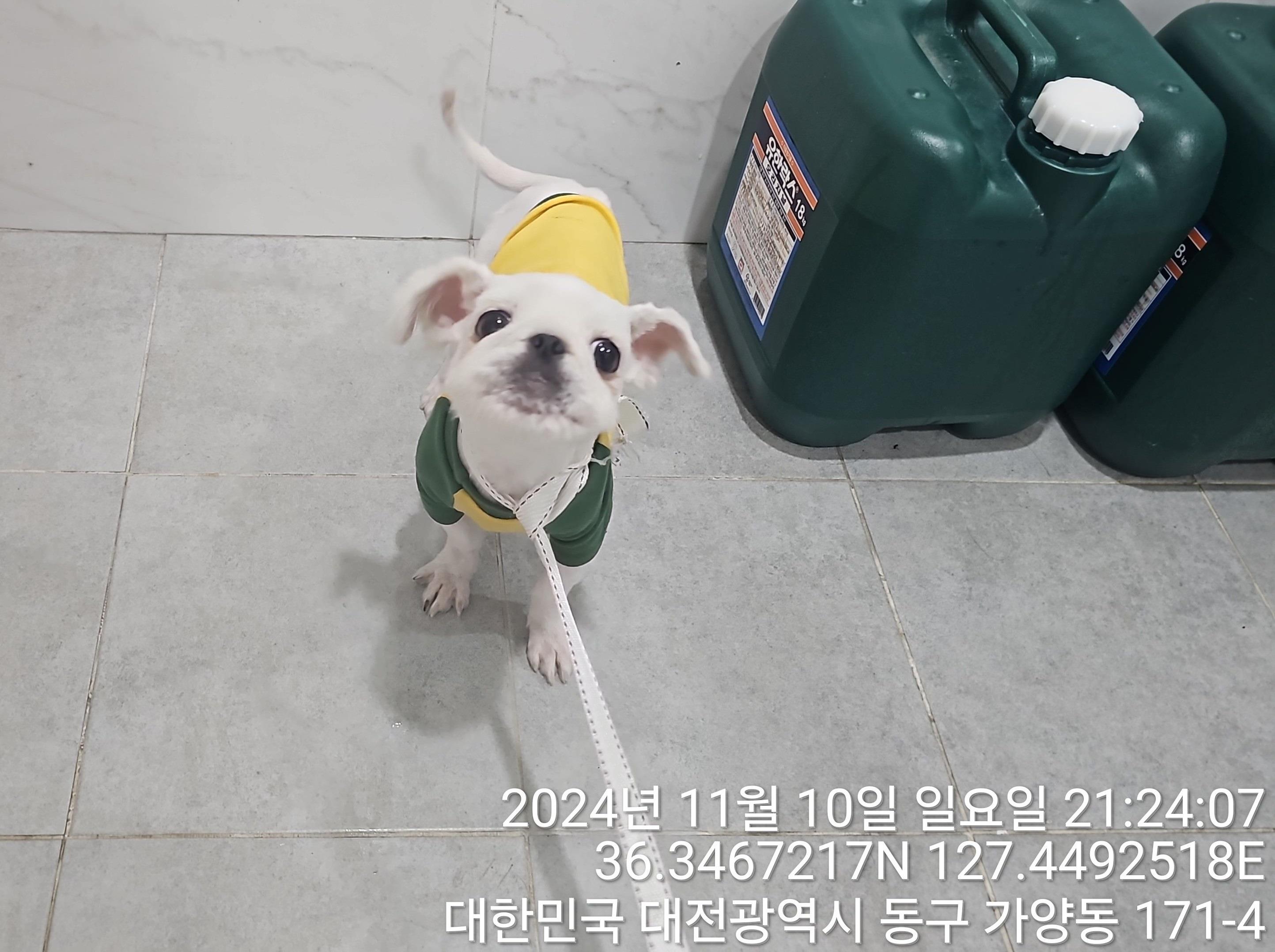 대전동물보호센터_430364202400791