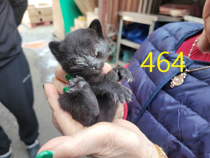 신영재동물병원_428355202400830
