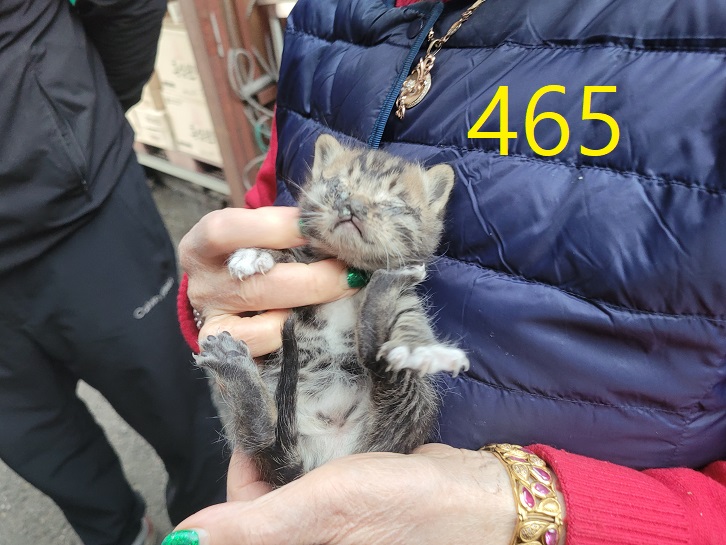 신영재동물병원_428355202400831
