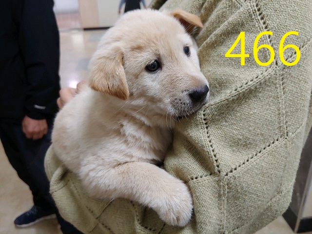 신영재동물병원_428355202400832