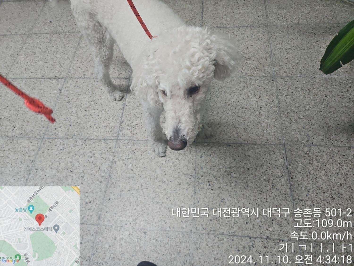 대전동물보호센터_430368202400511