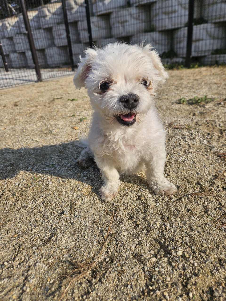 아산동물복지지원센터_444452202402355
