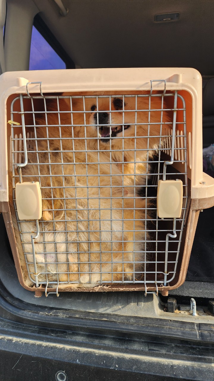 아산동물복지지원센터_444452202402356