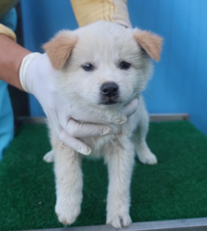 제주 동물보호센터_450650202403364