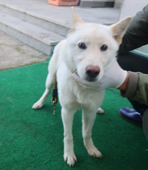 제주 동물보호센터_450650202403360