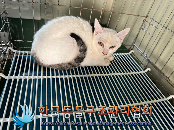 한국동물구조관리협회_411315202400613