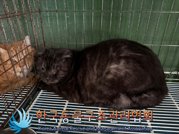 한국동물구조관리협회_411315202400620