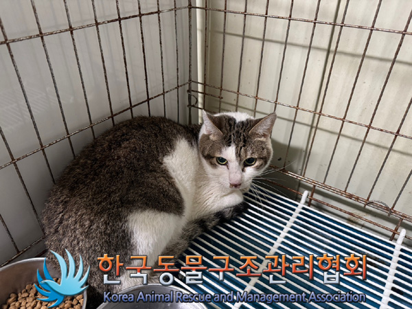 한국동물구조관리협회_411315202400623