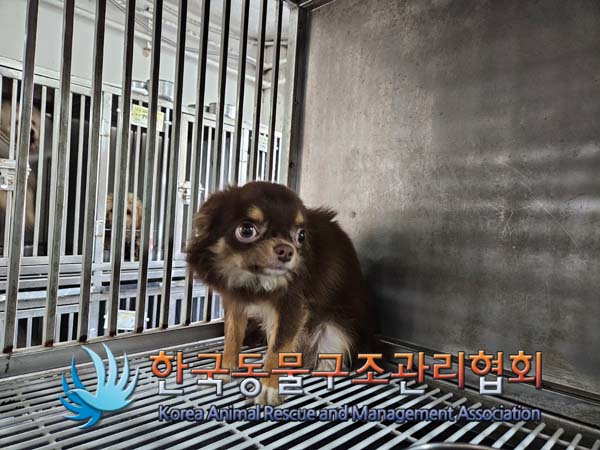 한국동물구조관리협회_411307202400632