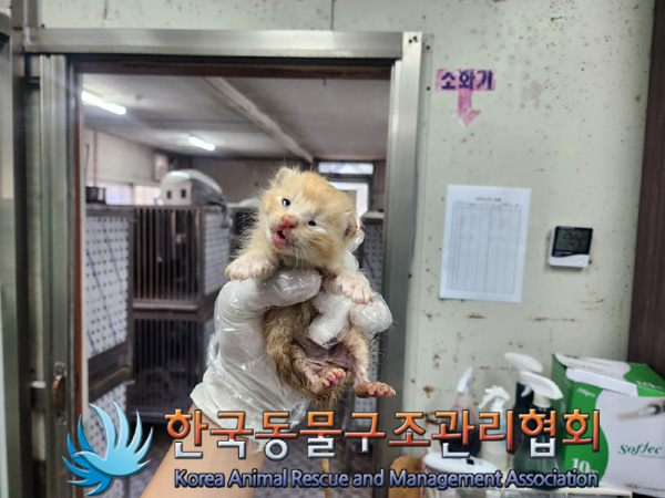 한국동물구조관리협회_441414202400983