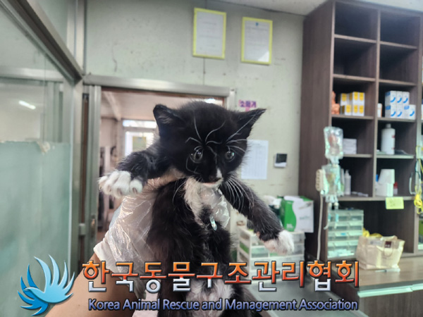 한국동물구조관리협회_411323202401076