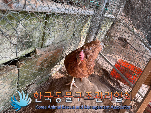 한국동물구조관리협회_441560202401360