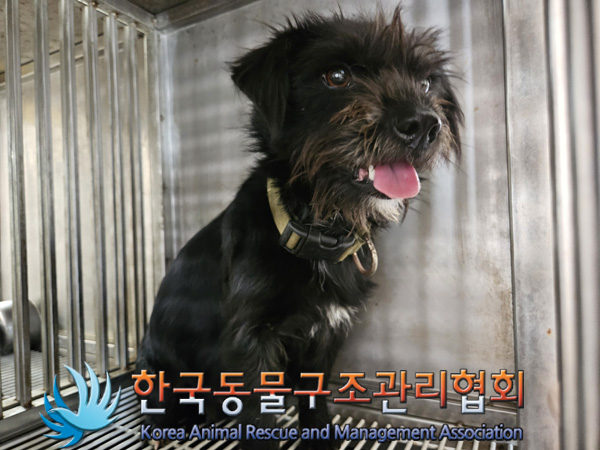 한국동물구조관리협회_441406202401984