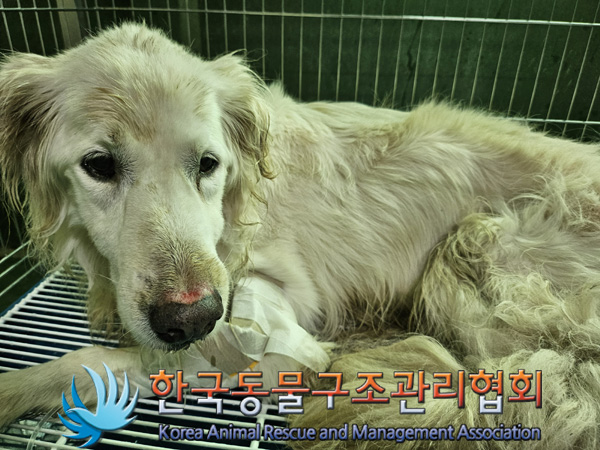한국동물구조관리협회_441404202400616