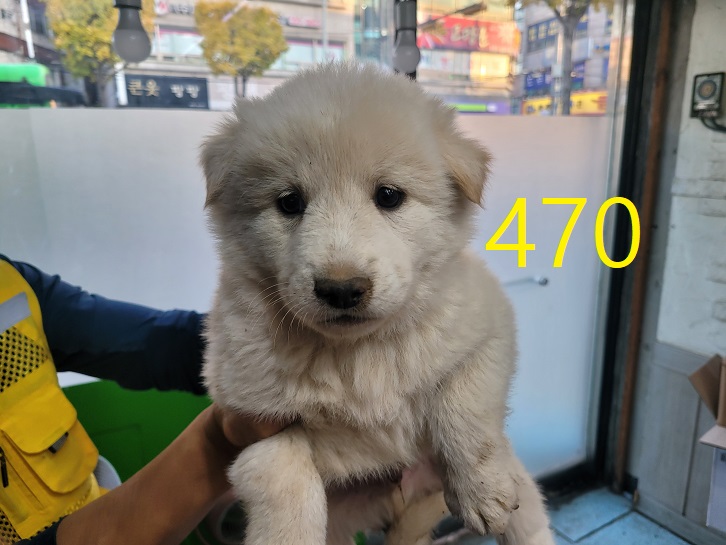 신영재동물병원_428355202400841