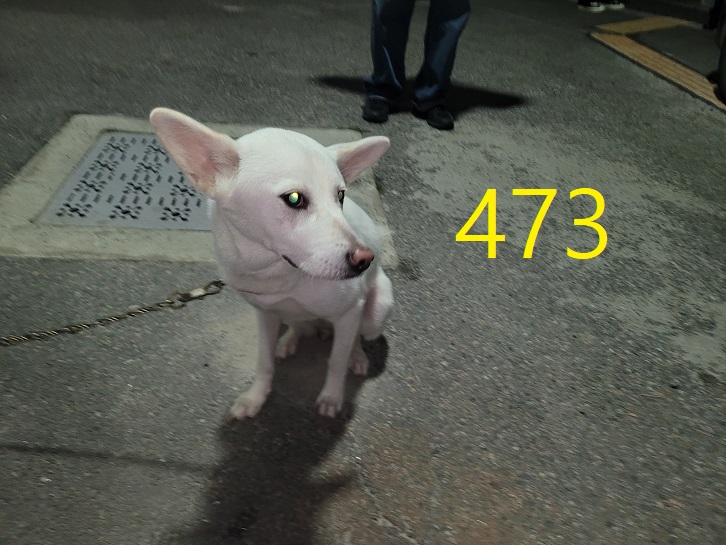 신영재동물병원_428355202400843