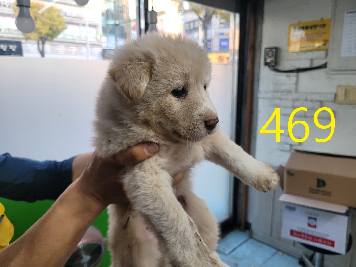 신영재동물병원_428355202400840