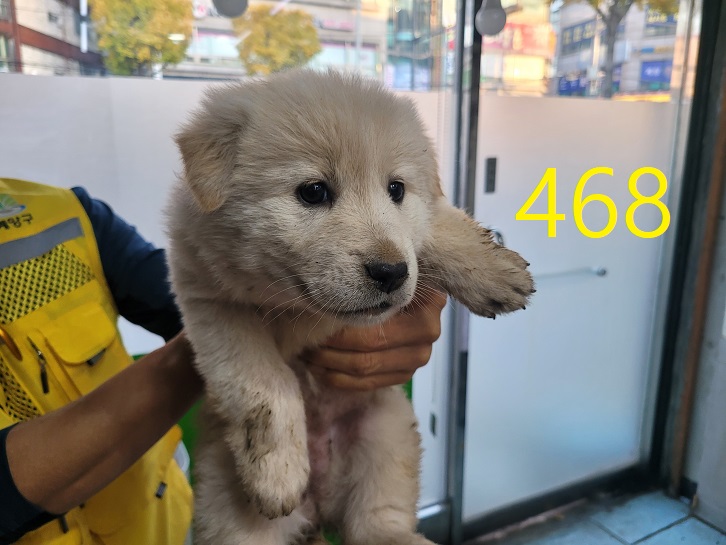 신영재동물병원_428355202400839