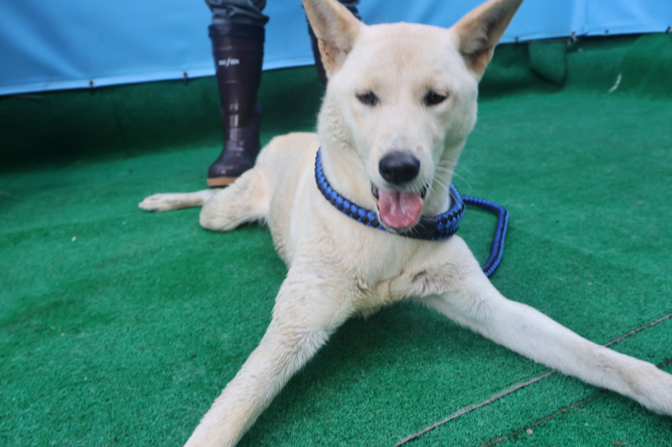 제주 동물보호센터_450650202403396