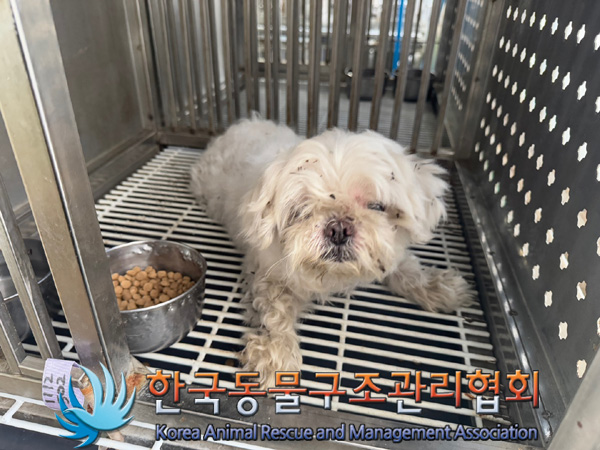 한국동물구조관리협회_441406202402001
