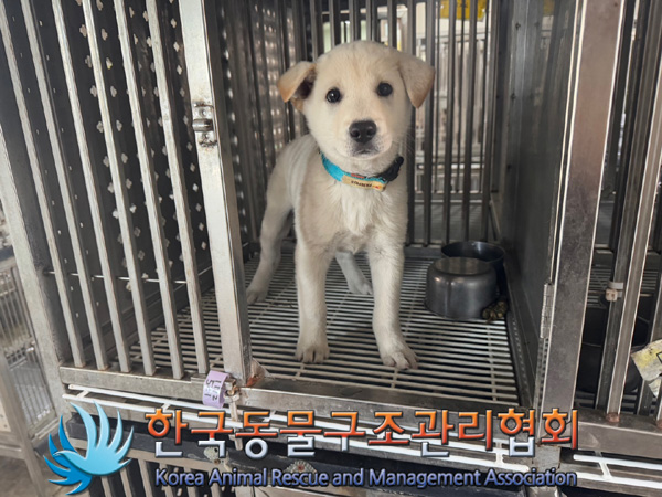 한국동물구조관리협회_441406202402000