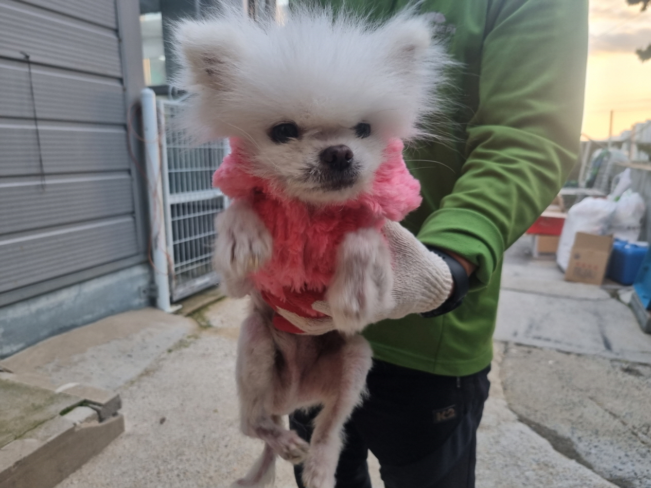 양산시 동물보호센터_448538202400819