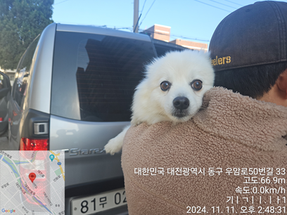 대전동물보호센터_430365202400581
