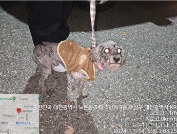 대전동물보호센터_430367202400890