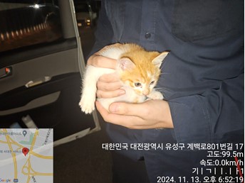 대전동물보호센터_430367202400889