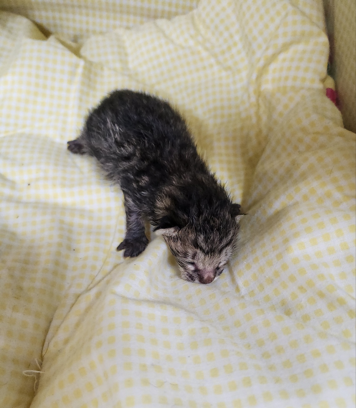 울산유기동물보호센터_431372202400657