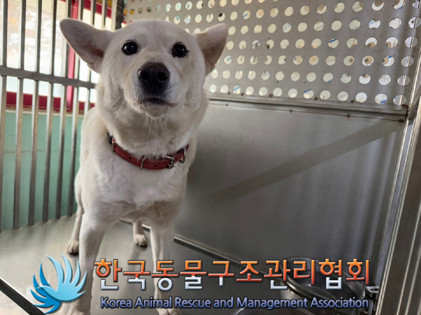 한국동물구조관리협회_441409202401792