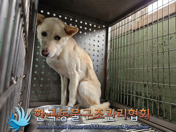한국동물구조관리협회_441409202401790