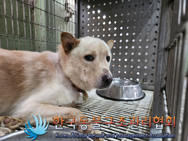 한국동물구조관리협회_441409202401791