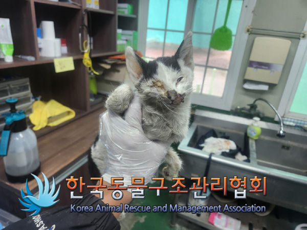 한국동물구조관리협회_411300202400561