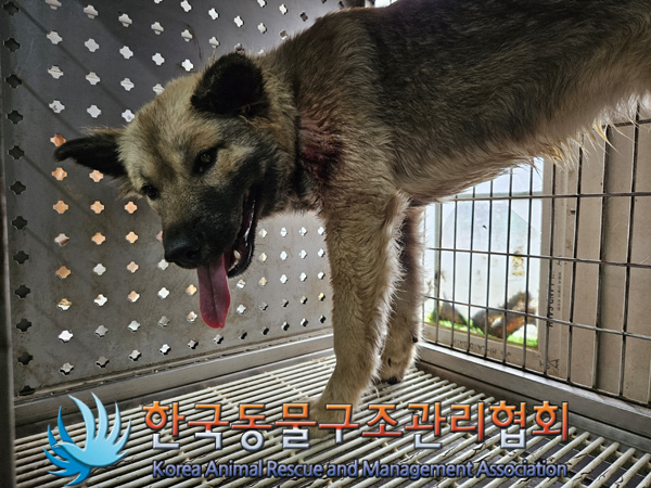 한국동물구조관리협회_411311202401007