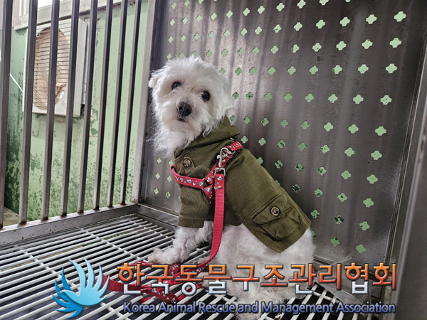 한국동물구조관리협회_411304202400660
