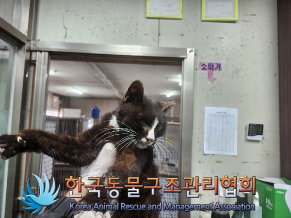 한국동물구조관리협회_411311202401008