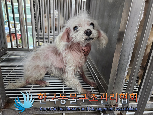 한국동물구조관리협회_411307202400634