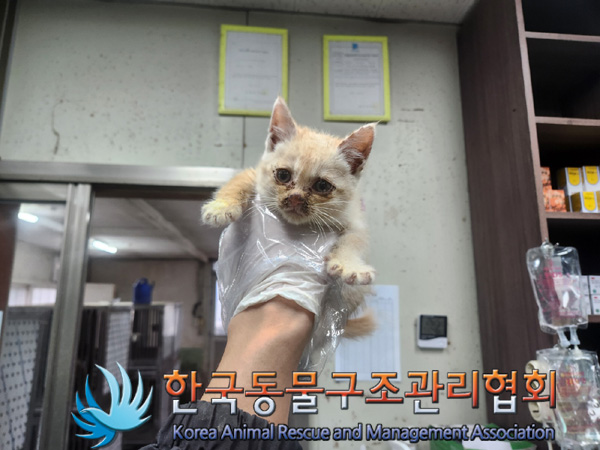 한국동물구조관리협회_441406202402026