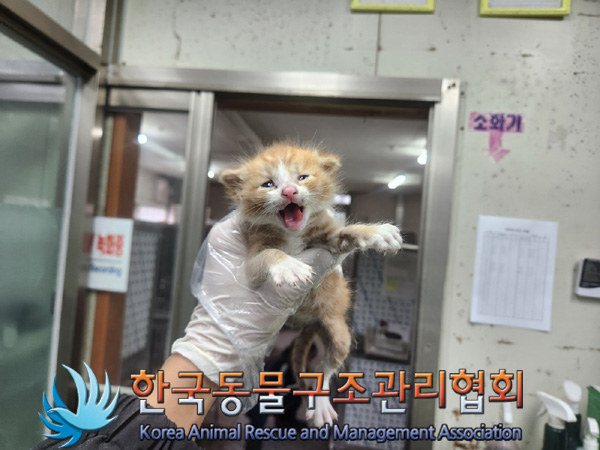 한국동물구조관리협회_441409202401793
