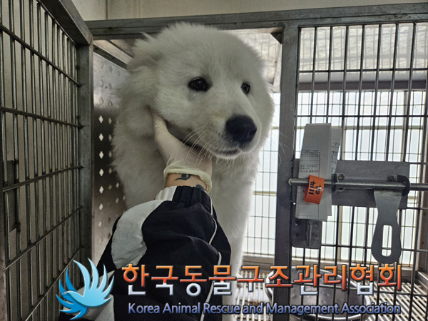 한국동물구조관리협회_411316202400869