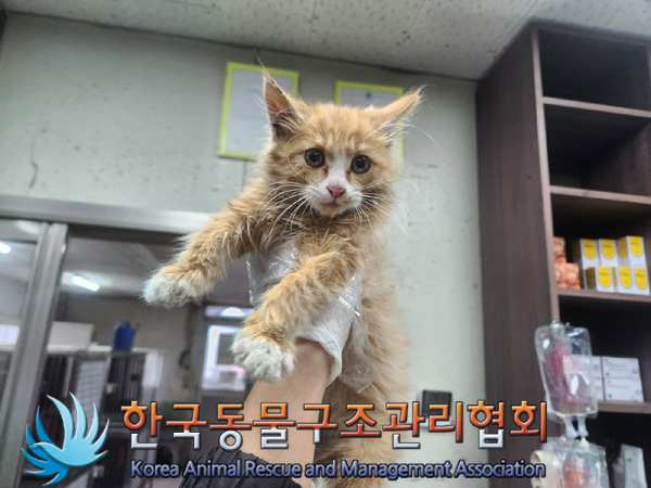 한국동물구조관리협회_441560202401364