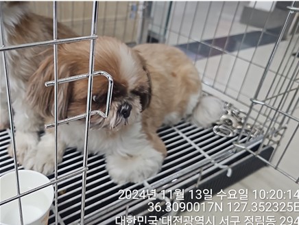 대전동물보호센터_430366202400632