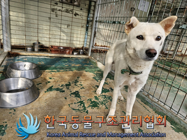 한국동물구조관리협회_441406202402022
