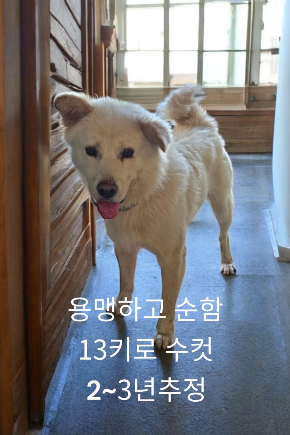 성주유기동물보호센터_447521202400633