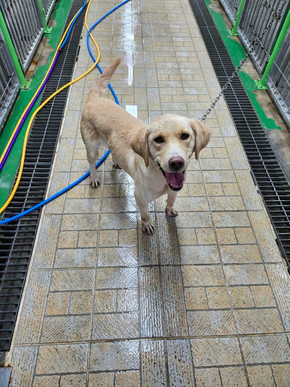 영주시 동물보호센터_447509202400336