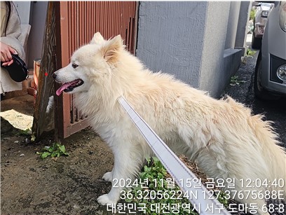 대전동물보호센터_430366202400641